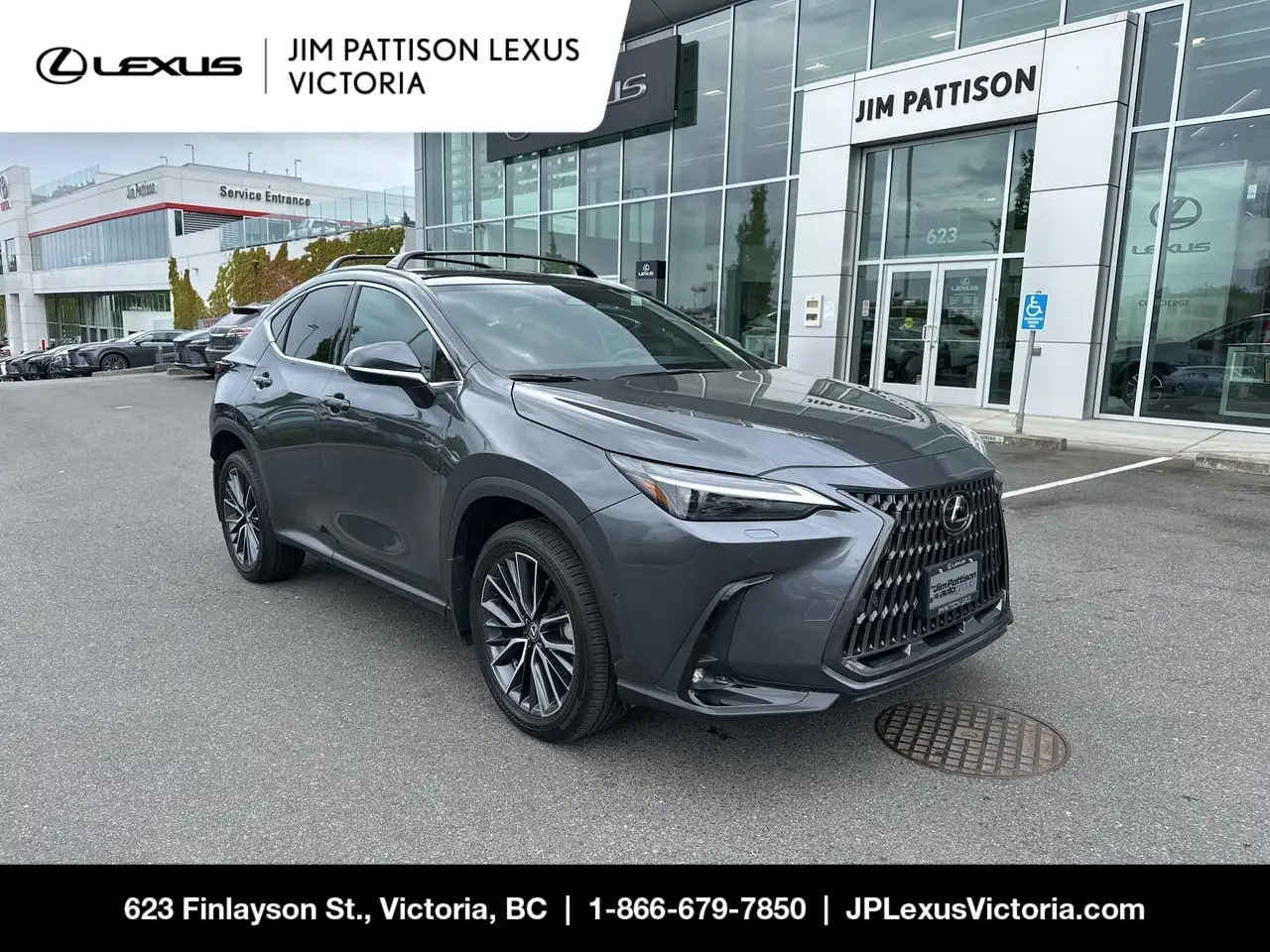2025 Lexus NX