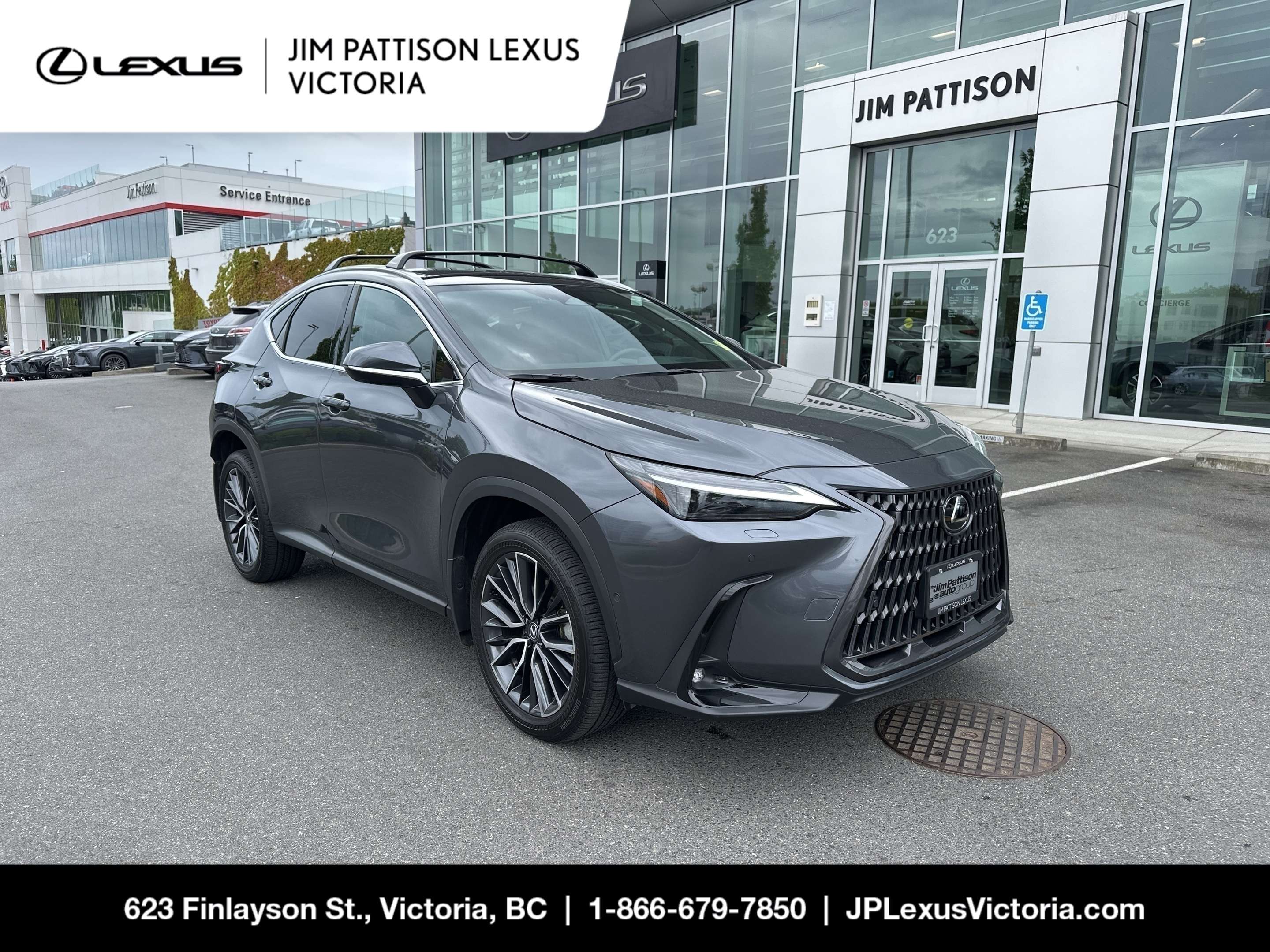Gray 2025 Lexus NX Hybrid SUV / Crossover Automatic
