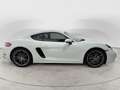Porsche Cayman 718 Cayman 2.0 300cv pdk Blanco - thumbnail 7