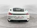 Porsche Cayman 718 Cayman 2.0 300cv pdk Blanco - thumbnail 5