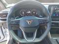 CUPRA Formentor Cupra Formentor Pan.-Schiebedach, Navi, R-Kamera Blanc - thumbnail 10
