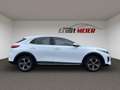 Kia XCeed 1.6 PHEV DCT6 Vision ** wenig Kilometer ** White - thumbnail 6