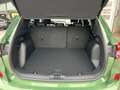 Ford Kuga 2,5 Duratec PHEV ST-Line X Aut. Grün - thumbnail 12