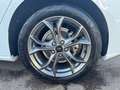 Ford Focus 1.0 EcoBoost Start-Stopp-System ST-LINE Weiß - thumbnail 10