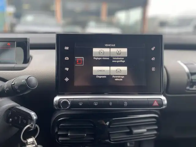 Citroen C4 Cactus view 18