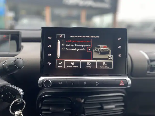 Citroen C4 Cactus view 19