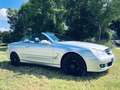 Mercedes-Benz CLK 200 Cabrio Kompressor Automatik Avantgarde - thumbnail 4