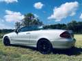 Mercedes-Benz CLK 200 Cabrio Kompressor Automatik Avantgarde - thumbnail 6