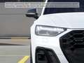 Audi Q5 55 TFSI e quattro S tronic S line Matrix-LED Weiß - thumbnail 7