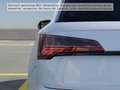 Audi Q5 55 TFSI e quattro S tronic S line Matrix-LED Weiß - thumbnail 8
