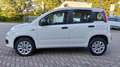 Fiat Panda Panda Natural power Easy 80cv NEOPATENTATI Bianco - thumbnail 1