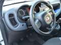 Fiat Panda Panda Natural power Easy 80cv NEOPATENTATI Bianco - thumbnail 7
