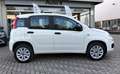 Fiat Panda Panda Natural power Easy 80cv NEOPATENTATI Bianco - thumbnail 3
