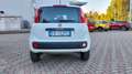 Fiat Panda Panda Natural power Easy 80cv NEOPATENTATI Bianco - thumbnail 4