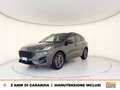 Ford Kuga 2.5 full hybrid st-line x design 2wd 190cv cvt Gris - thumbnail 1