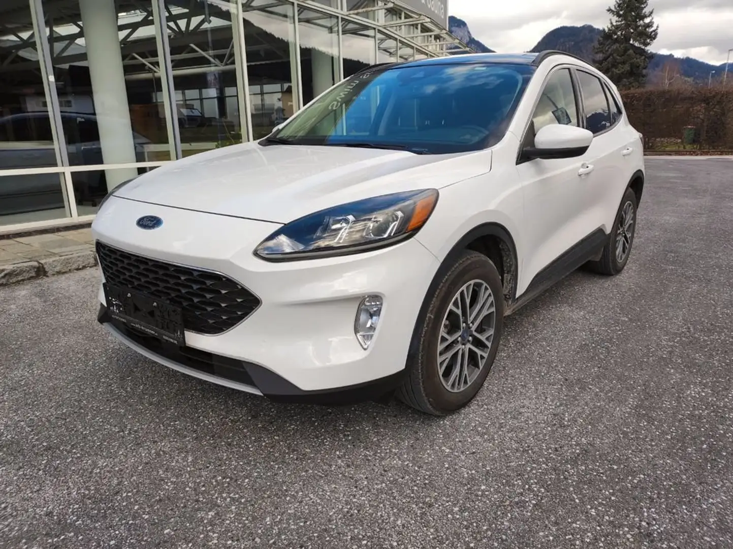 Ford Escape SEL, 4x4, Benzin, Autom. Wit - 2