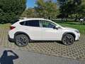 Subaru XV XV II 2021 2.0i e-boxer Style Xtra lineartronic Bianco - thumbnail 4