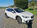 Subaru XV XV II 2021 2.0i e-boxer Style Xtra lineartronic Bianco - thumbnail 6
