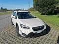 Subaru XV XV II 2021 2.0i e-boxer Style Xtra lineartronic Bianco - thumbnail 1