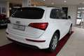 Audi Q5 2.0 TDI 120 kW quattro S-Line*AHK*NAVI Bianco - thumbnail 4