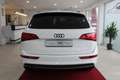 Audi Q5 2.0 TDI 120 kW quattro S-Line*AHK*NAVI Blanco - thumbnail 3