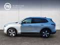 Volkswagen Tiguan Friends eTSI DSG Silber - thumbnail 3