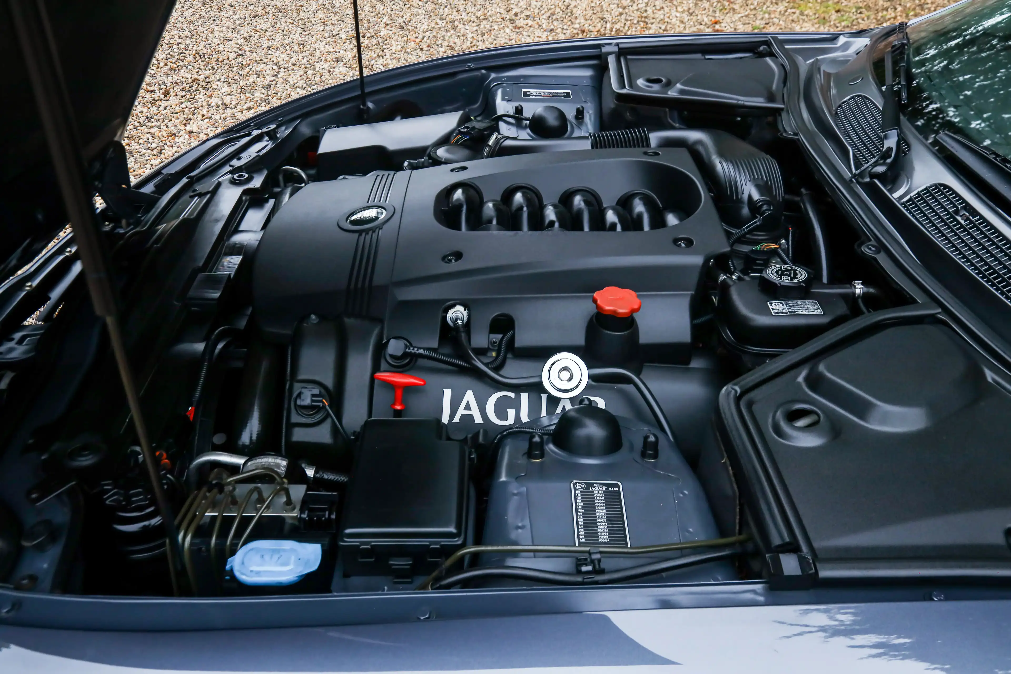 Jaguar XK8 4.2 Coupe "Slate Grey - XKR Optics" Livery in Slat — photo 4
