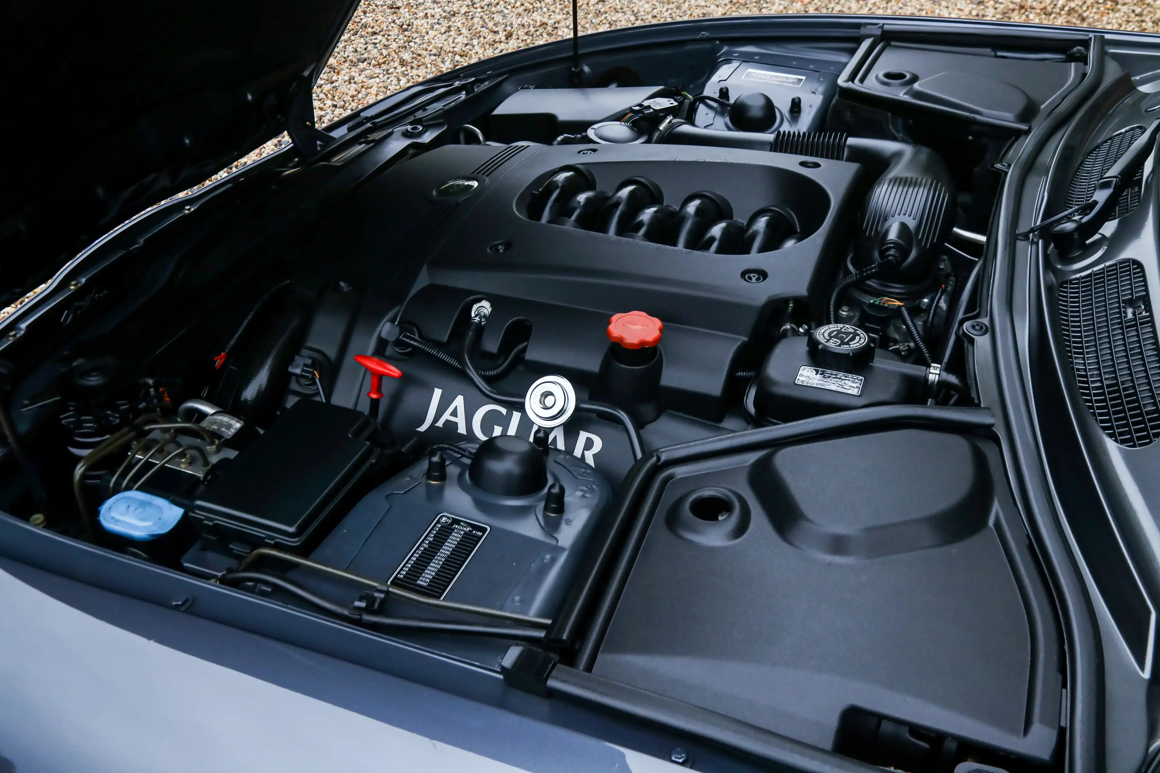 Jaguar XK8 4.2 Coupe "Slate Grey - XKR Optics" Livery in Slat — photo 12