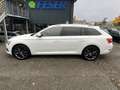 Skoda Superb Combi 2.0 TDI DSG APP LED AHK Wit - thumbnail 5