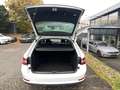Skoda Superb Combi 2.0 TDI DSG APP LED AHK Wit - thumbnail 8