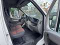 Fiat Ducato Kastenwagen Weiß - thumbnail 5