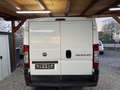 Fiat Ducato Kastenwagen Weiß - thumbnail 6
