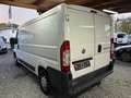 Fiat Ducato Kastenwagen Blanc - thumbnail 7