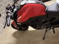 Ducati Monster 937 + Termignoni Rouge - thumbnail 10