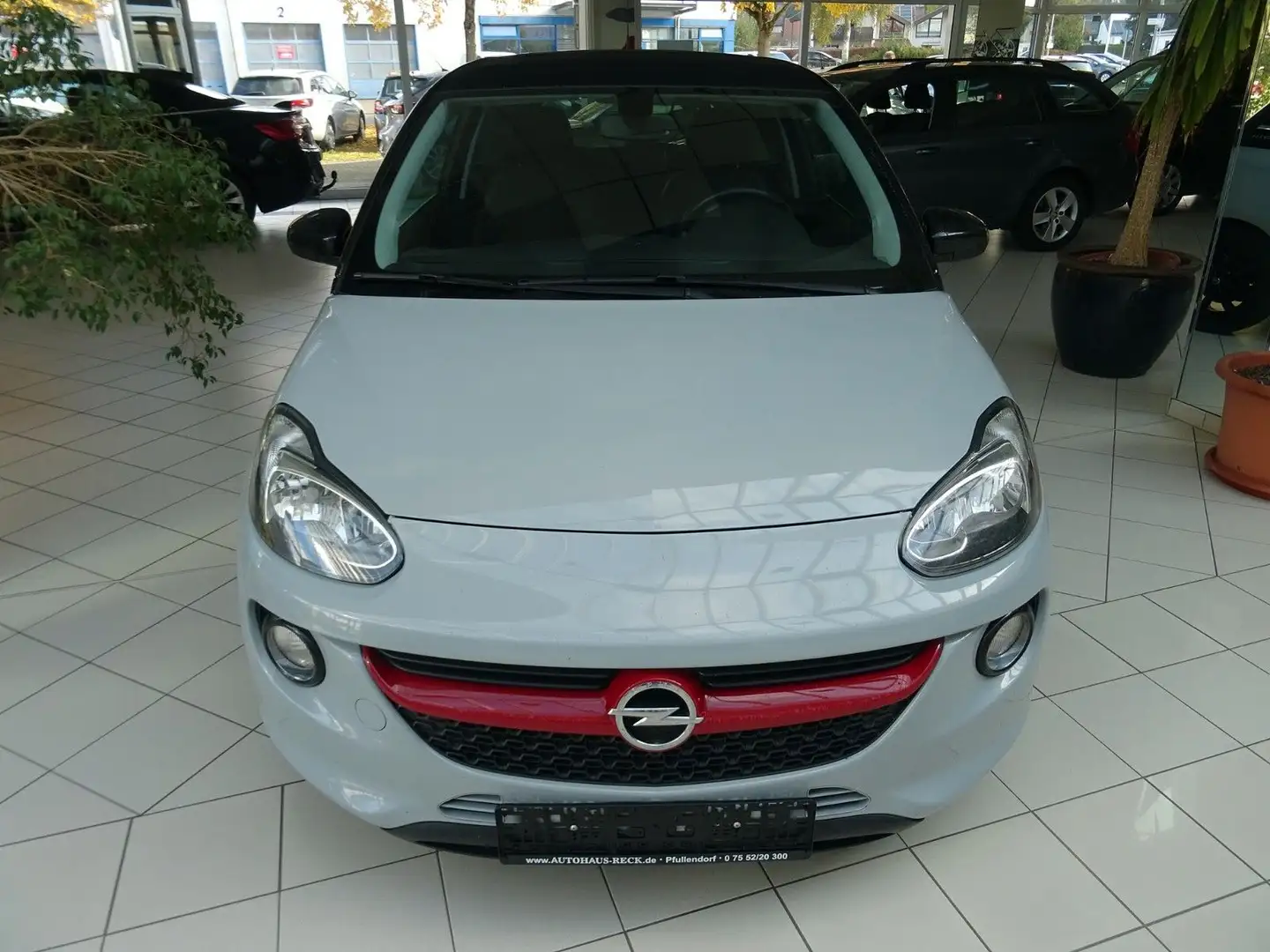 Opel Adam Open Air ecoFlex Gris - 2