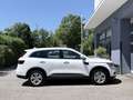 Renault Koleos dCi 175 4WD Zen **Lenkradheiz./Navigation** Weiß - thumbnail 8