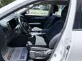 Renault Koleos dCi 175 4WD Zen **Lenkradheiz./Navigation** Weiß - thumbnail 10