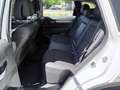 Renault Koleos dCi 175 4WD Zen **Lenkradheiz./Navigation** Weiß - thumbnail 11