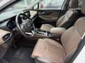 Hyundai SANTA FE Premium 4WD 7-Sitzer +KLIMA+LEDER+LED+RFK+UVM+ Weiß - thumbnail 7