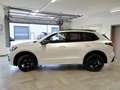 Volkswagen Tiguan 1.5 TSI e-HYBRID 272 PK R-LINE PANO-DAK/CAMERA/TRE Weiß - thumbnail 4