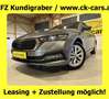 Skoda Octavia DSG LED VIRTUAL COCKPIT HEAD-UP-DISPLAY AHK Grau - thumbnail 1