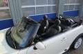 MINI Cooper S Cabrio 1.6 I Chili I Leder I John Works I Navi I H&K Wit - thumbnail 12