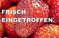 Ford Transit Connect lang Trend 5 Sitzer Weiß - thumbnail 8
