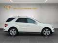 Mercedes-Benz ML 350 CDI 4Matic Ahk/Standheizung/Airmatic/GSHD Blanco - thumbnail 4