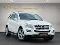 Mercedes-Benz ML 350 CDI 4Matic Ahk/Standheizung/Airmatic/GSHD Blanco - thumbnail 3