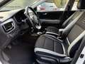 Kia Stonic Platinum Edition Weiß - thumbnail 8
