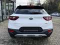 Kia Stonic Platinum Edition Weiß - thumbnail 7