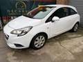 Opel Corsa 1.3 CDTI 75ch Pack Clim Réversible 5p - thumbnail 12