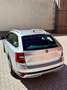 Skoda Octavia Scout  4×4 Grigio - thumbnail 2