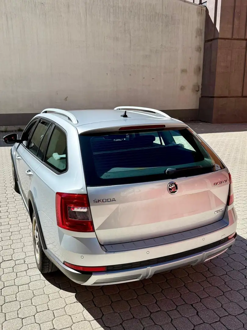 Skoda Octavia Scout  4×4 Grigio - 2